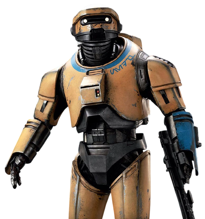 NED-B